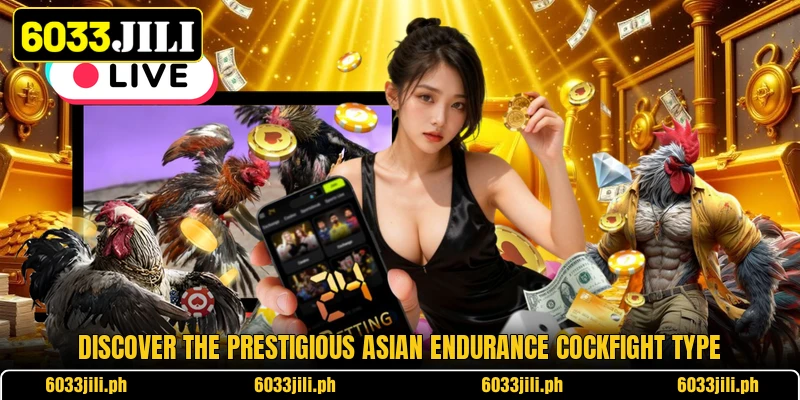 Discover the prestigious Asian endurance cockfight type Discover the prestigious Asian endurance cockfight type