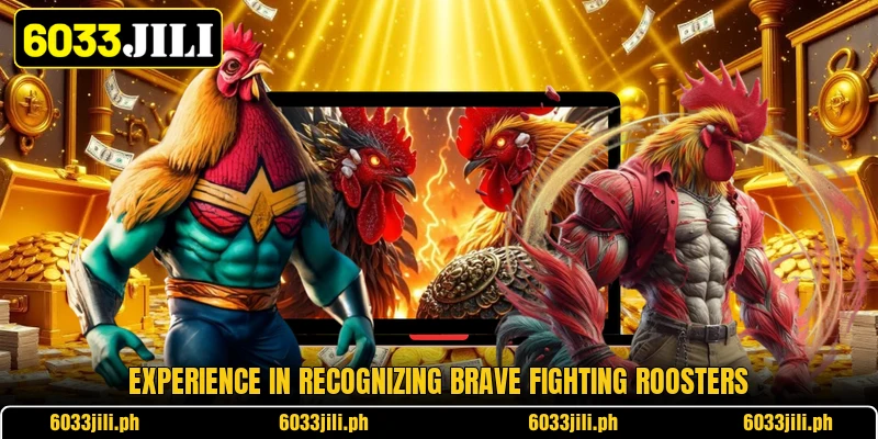 Experience in recognizing brave fighting roosters Experience in recognizing brave fighting roosters