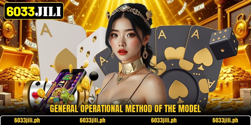 General operational method of the model General operational method of the model