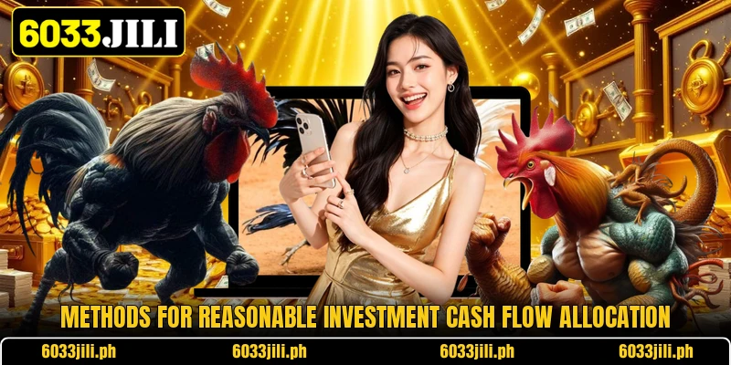 Methods for reasonable investment cash flow allocation Methods for reasonable investment cash flow allocation