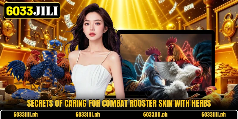 Secrets of caring for combat rooster skin with herbs Secrets of caring for combat rooster skin with herbs